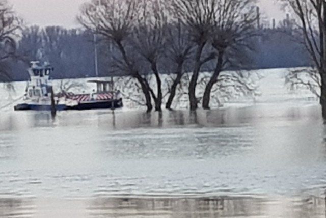 Rhein Hochwasser Rhein Hochwasser Meyer-Rafting