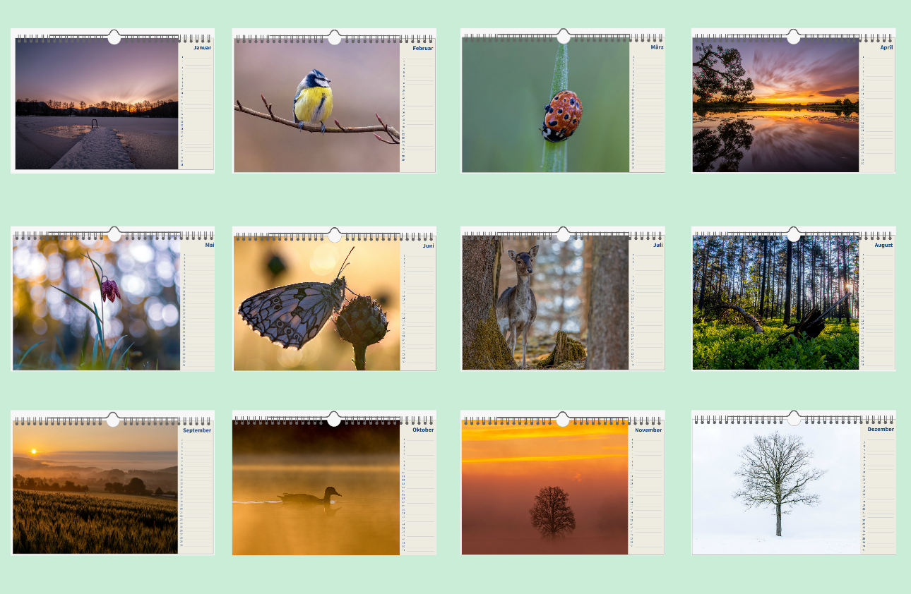 Bilder der Natur als Ganzjahreskalender. Bilder der Natur als Ganzjahreskalender.
