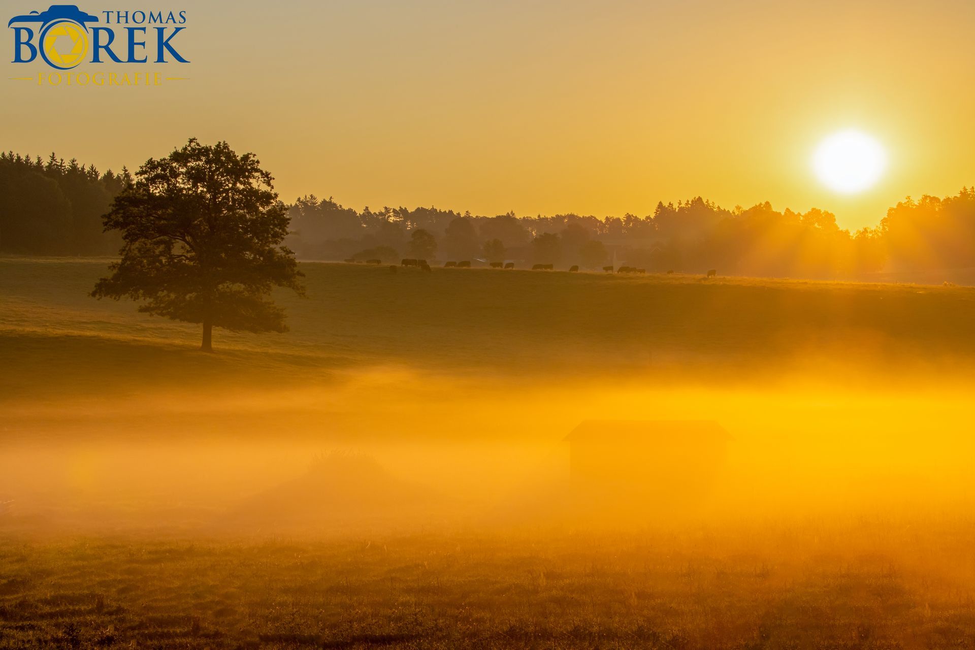 Sonnenaufgang am Land