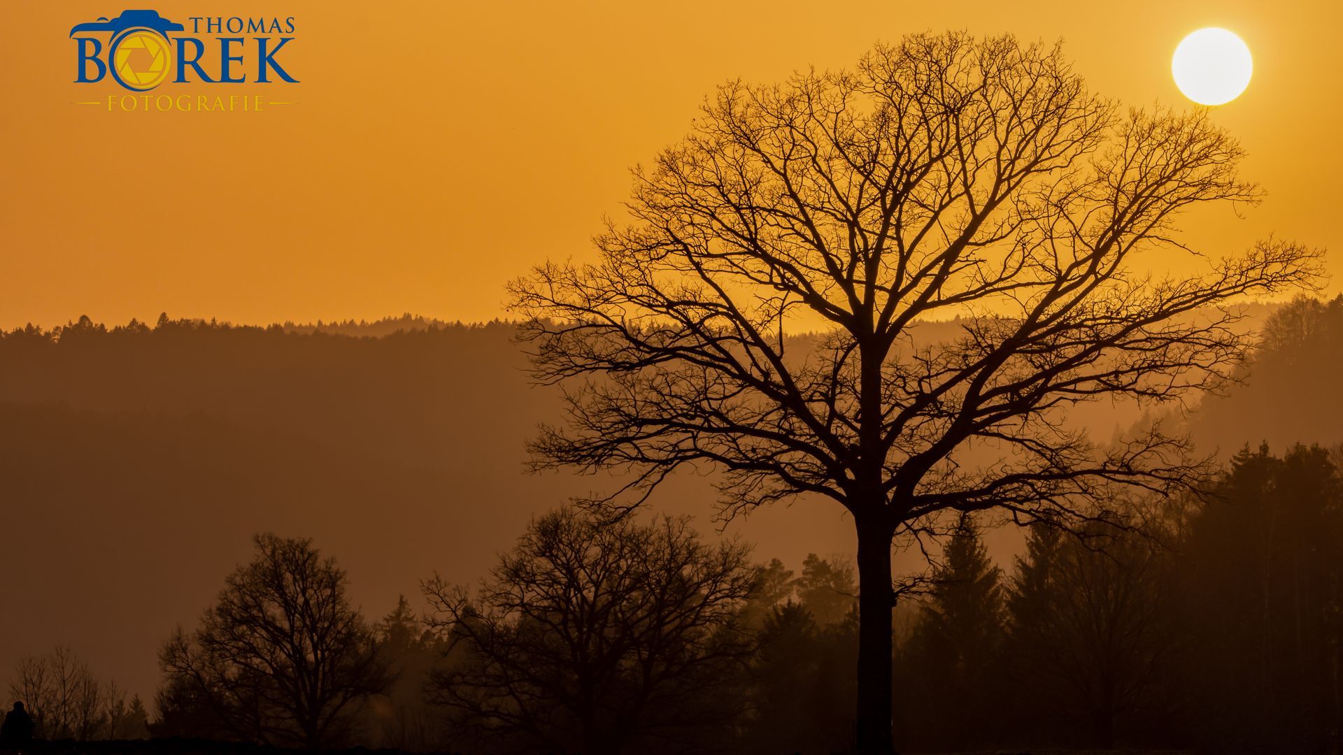 Sonnenuntergang mit Saharastaub