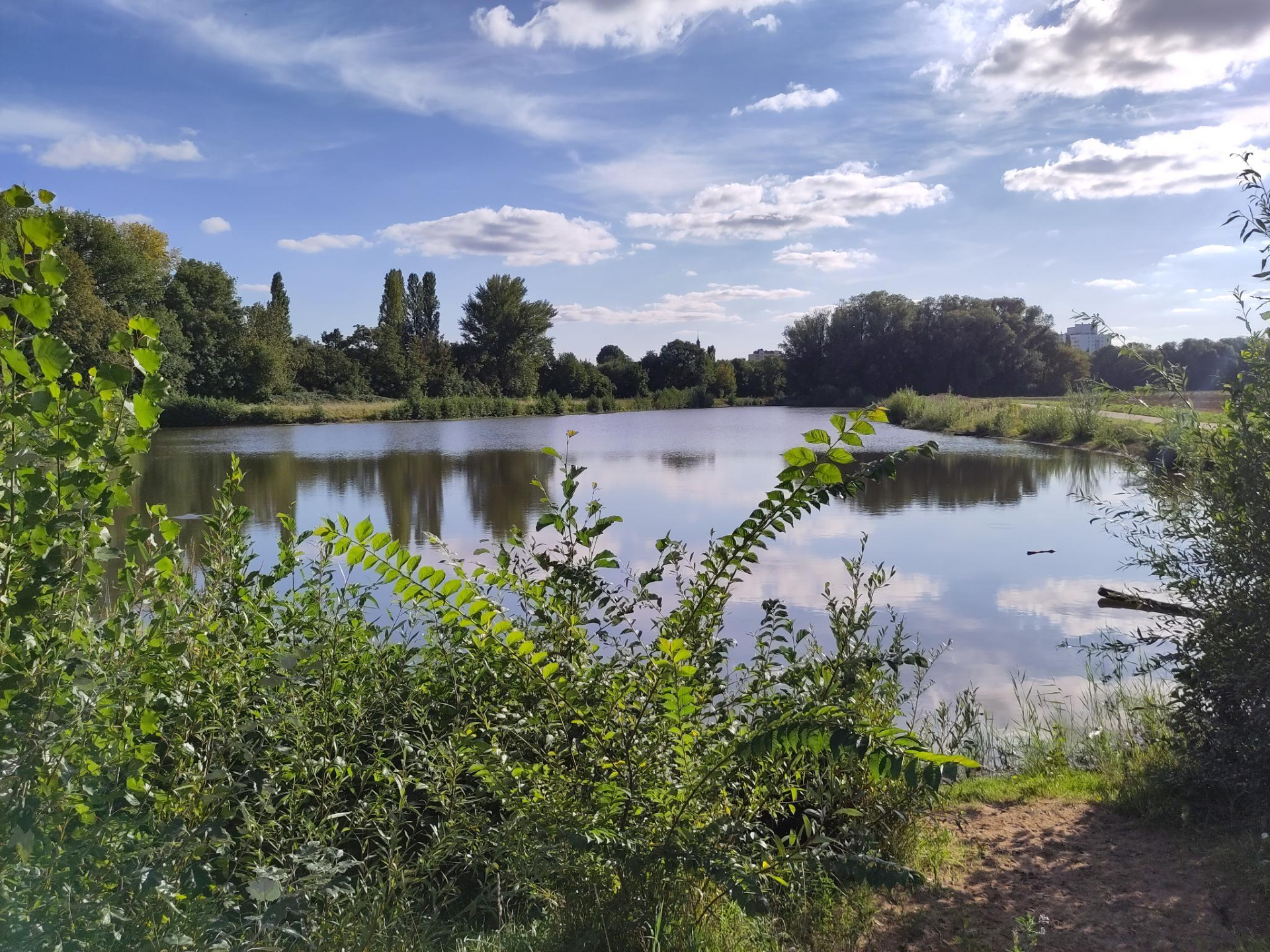 Foto vom Fechenheimer Mainbogen