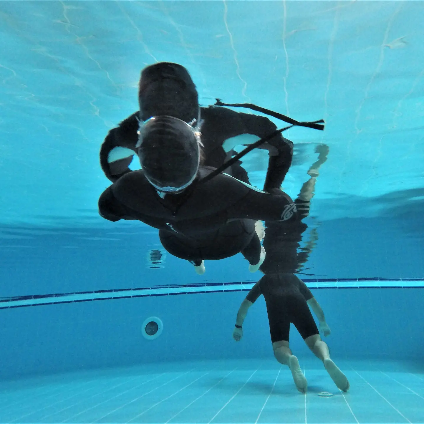 Curso Apnea en Murcia / Apnea Ozeana
