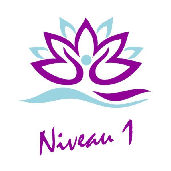 reiki 1 vannes Formation Reiki 1 shoden vannes Morbihan