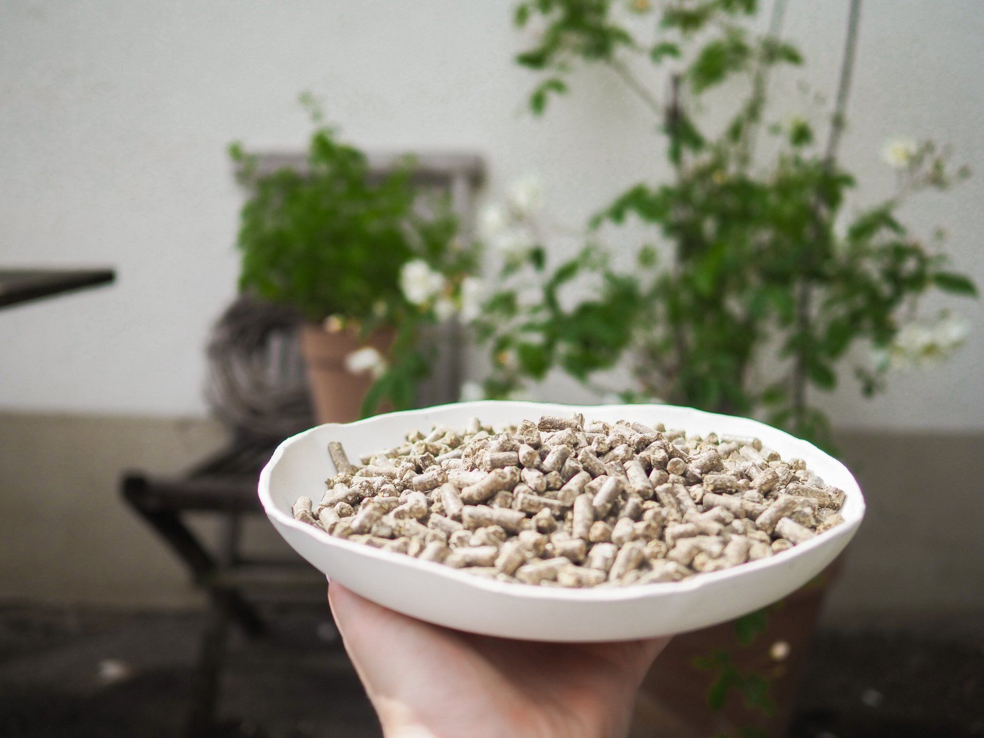 Universaldünger Naturdünger Pflanzendünger Dünger Pellets Garten Gärtner umtopfen düngen gärtnern