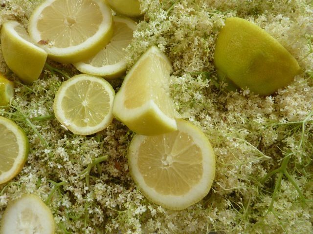 Zitronen auf Holunderblüten