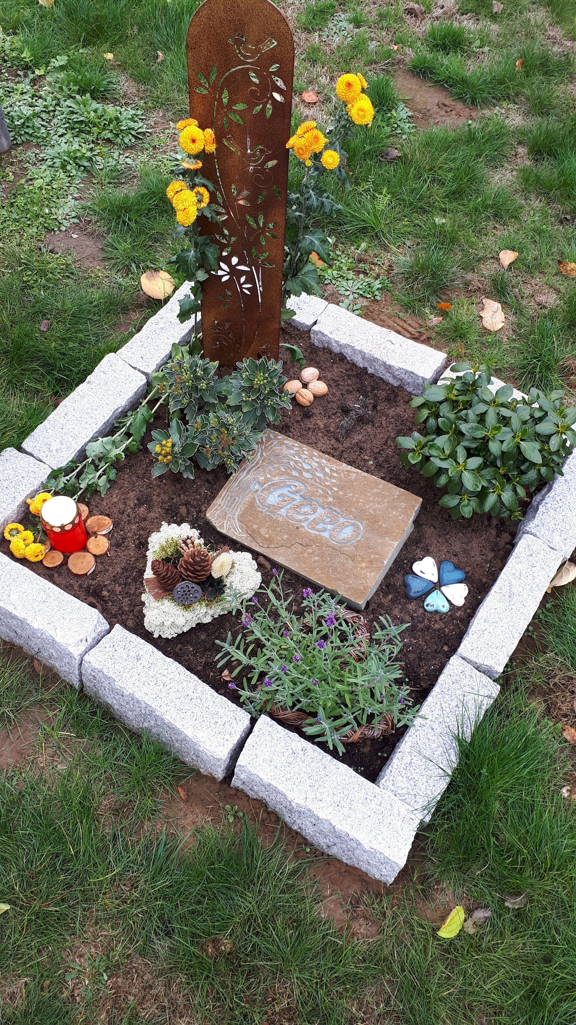 Sleep well my friend