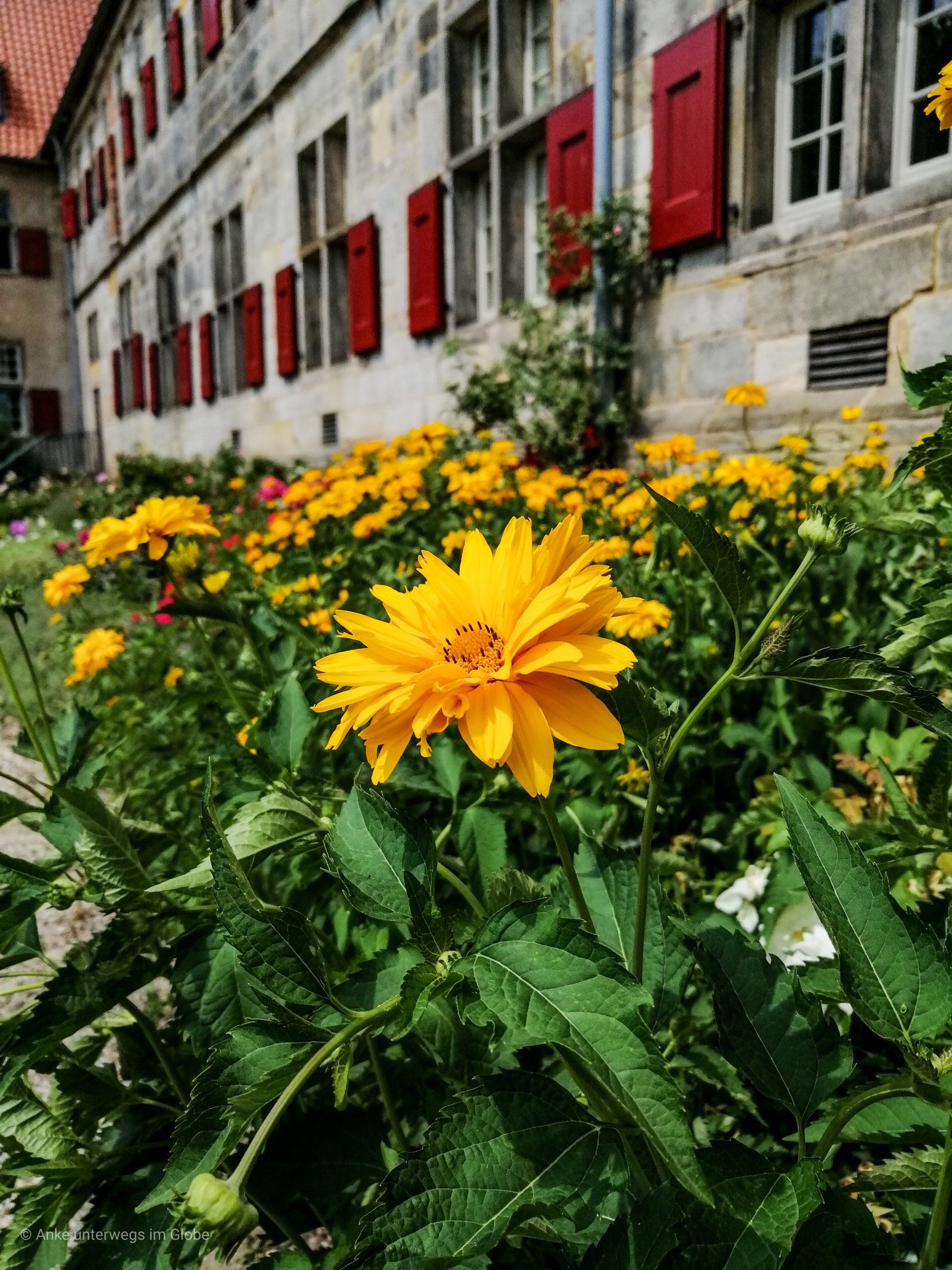 Kloster Frenswegen, Garten