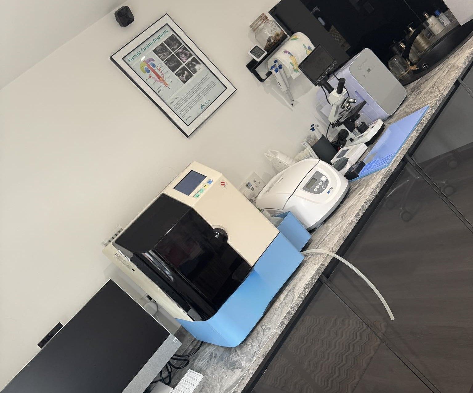 Progesterone Machine AIA360 Tosoh