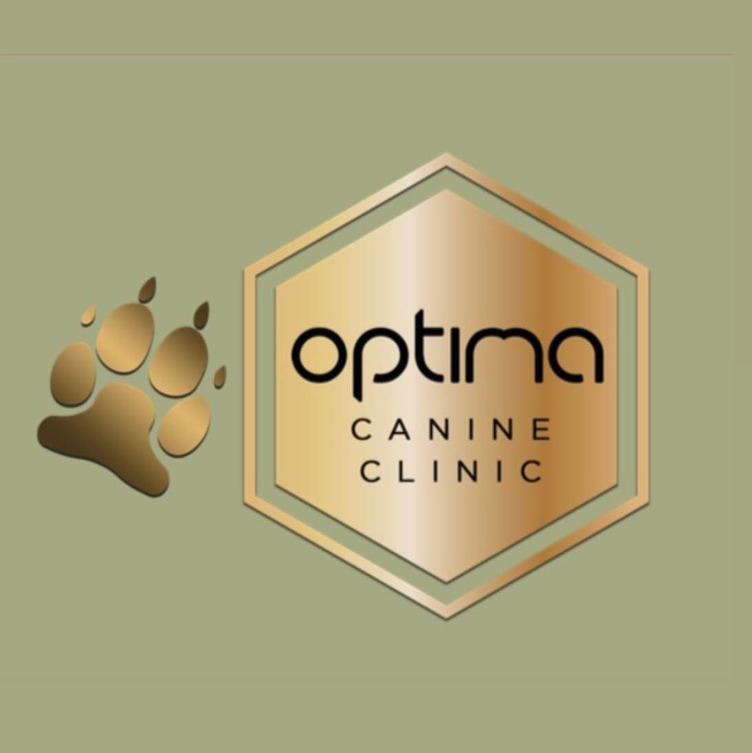 Optima Logo