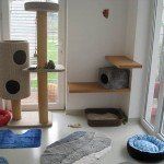 Katzenbereich und Kleintierbereich im Tierheim Andernach