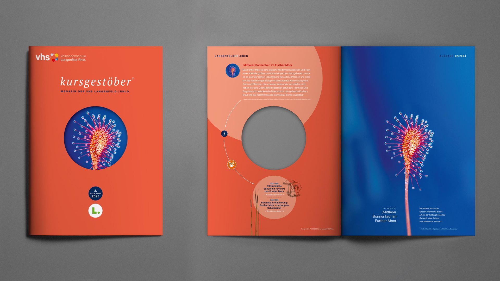 Coverkonzept Das geschlossene VHS-Magazin zeigt ein Cover mit einer orangefarbenen Fläche und einer kreisrunden Ausstanzung von etwa 10 cm Durchmesser. Durch diese Öffnung ist ein Ausschnitt des darunter liegenden Fotos auf Seite 3 zu sehen. Daneben liegt das aufgeschlagene Heft als Doppelseite. Links, auf Umschlagseite 2, befindet sich die mittlere, runde Ausstanzung, während rechts, auf Seite 3, das ganzflächige Foto einer Pflanze aus dem Langenfelder Naturschutzgebiet ‚Further Moor‘ zu sehen ist.