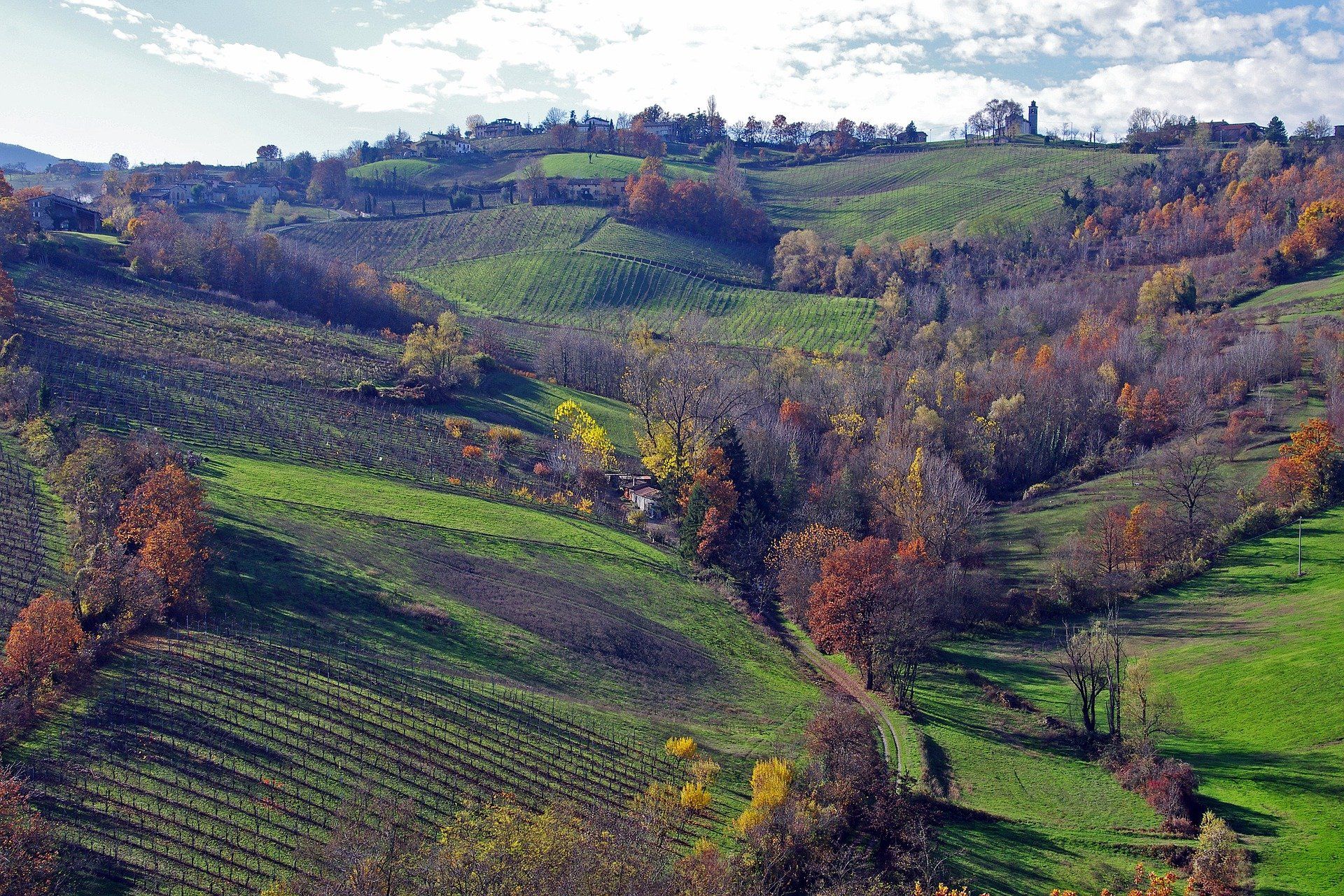 Langhirano - Parma