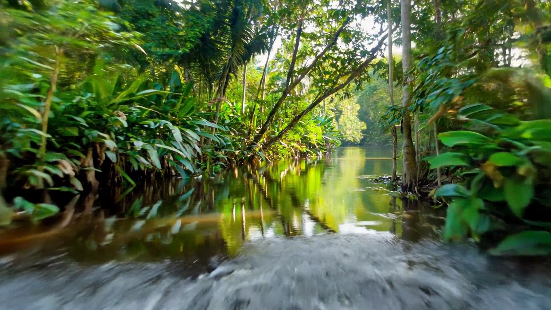 Cinematic VFX jungle river environment with water simulation Cinematic VFX jungle river environment with water simulation