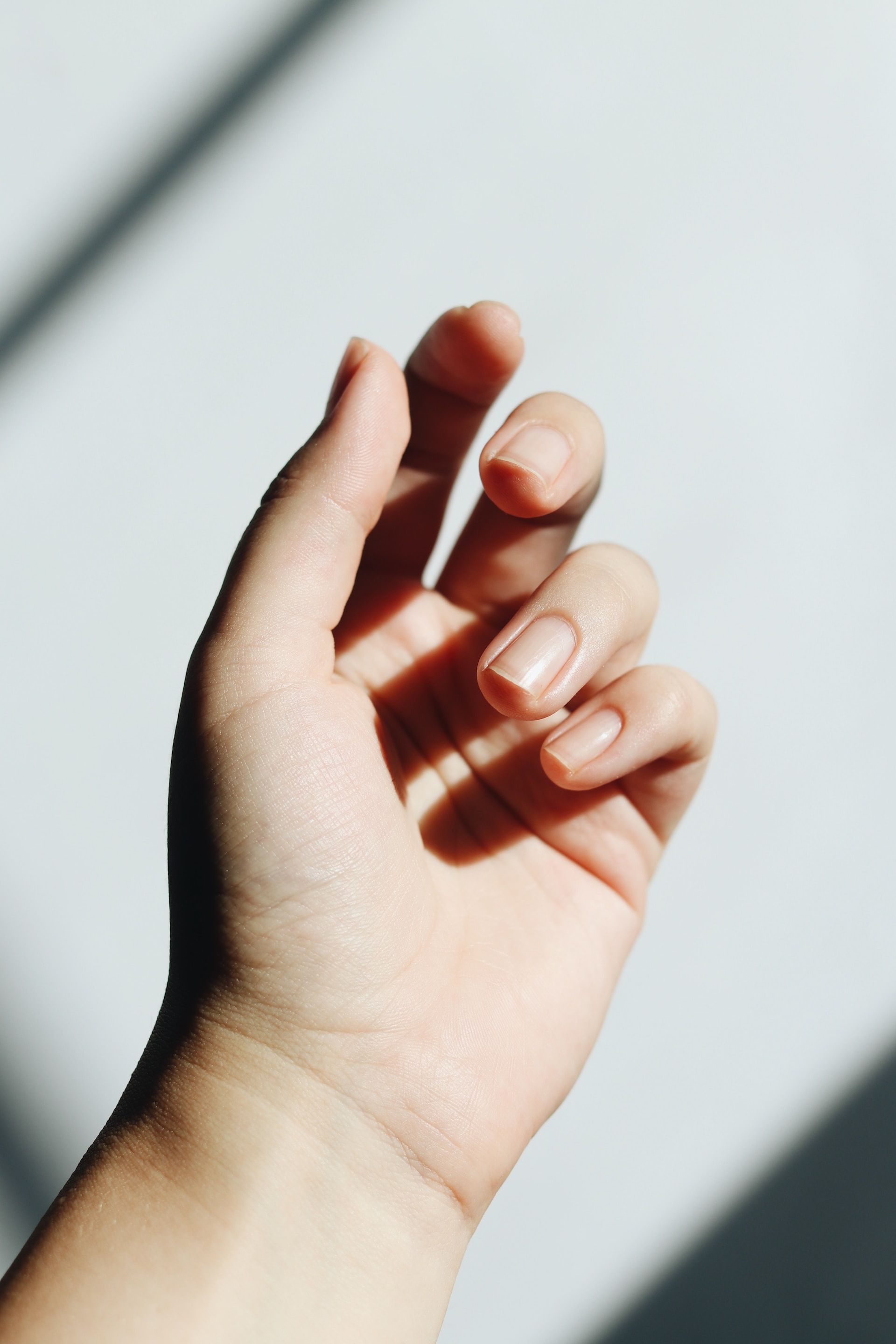 Bild einer Hand im Licht. Die Finger 2-5 sind leicht gebeugt