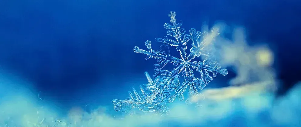 Profitez de cette offre dans votre agence Gualchierotti Automobiles Offre du Moment