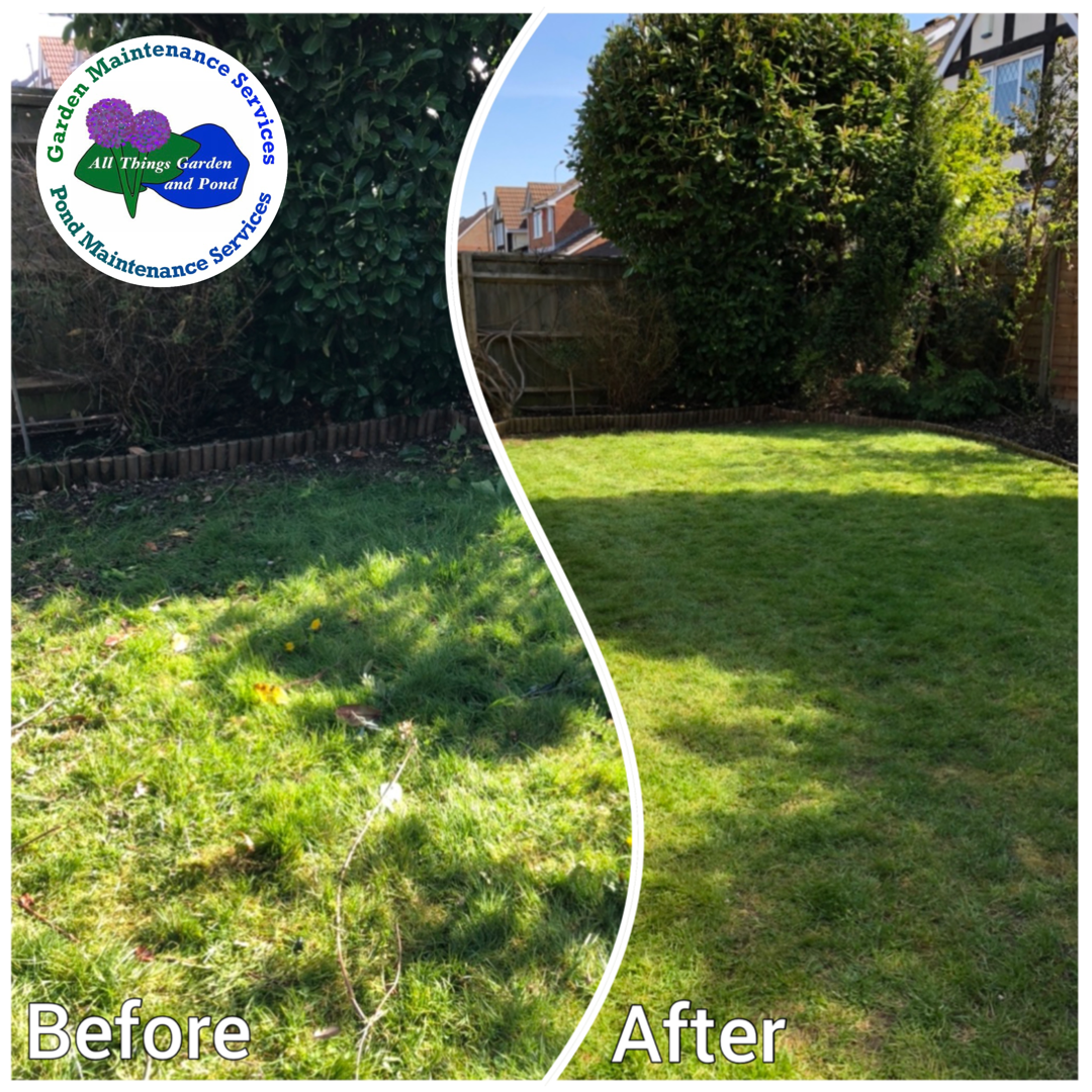 Routine Garden Maintenance Bristol
