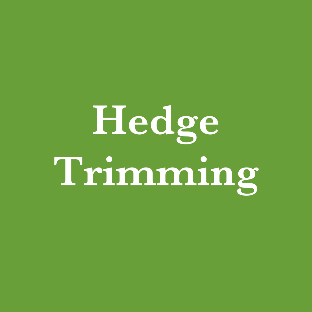 Hedge Trimming