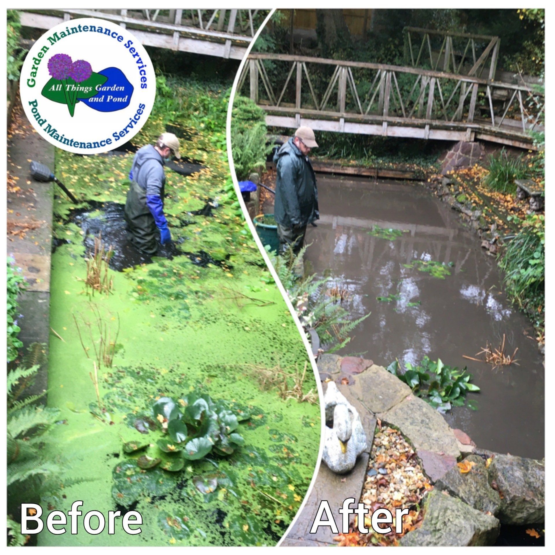 Large Pond Cleaning