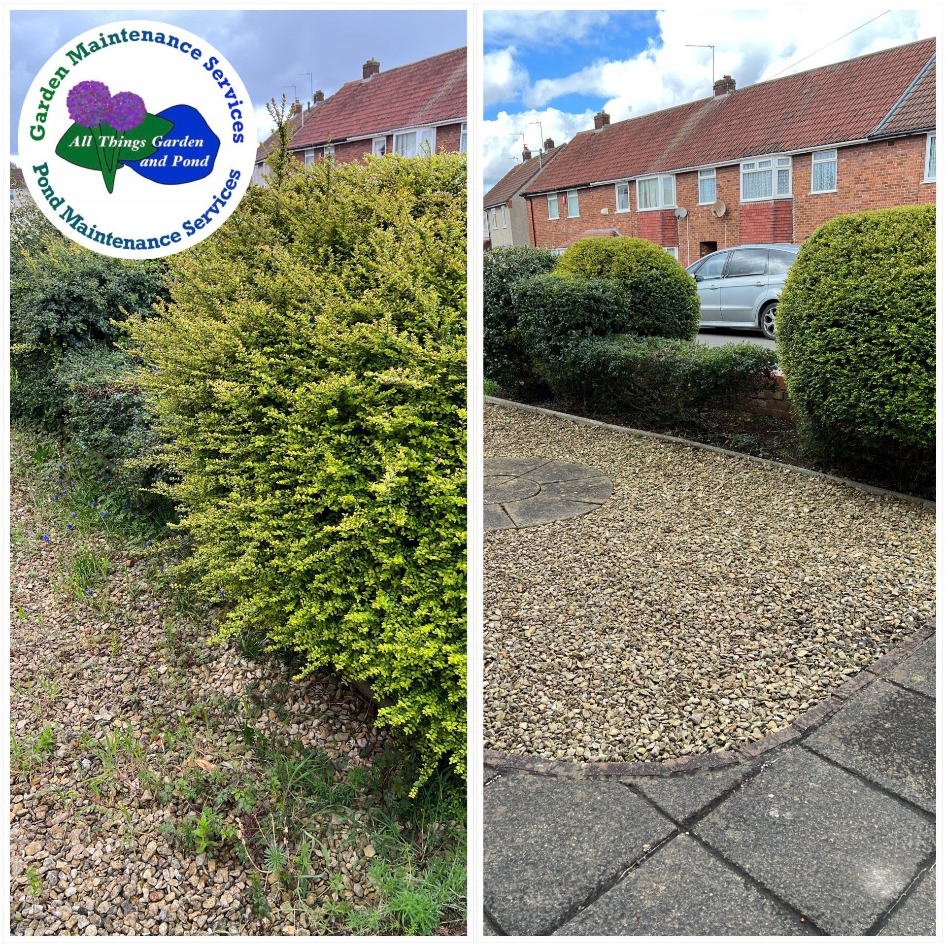 Hedge Maintenance Bristol