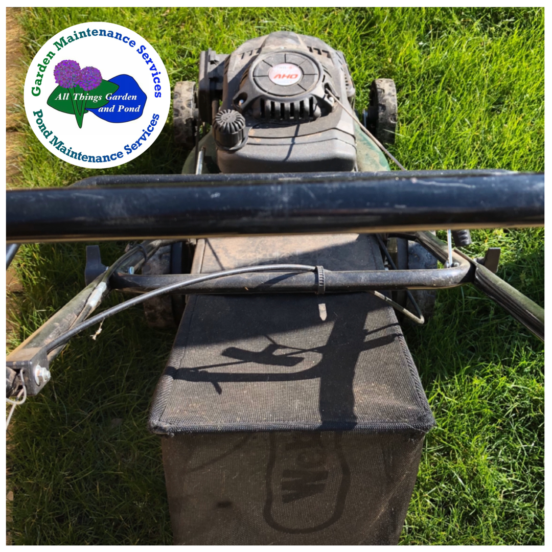 Routine Lawn Maintenance