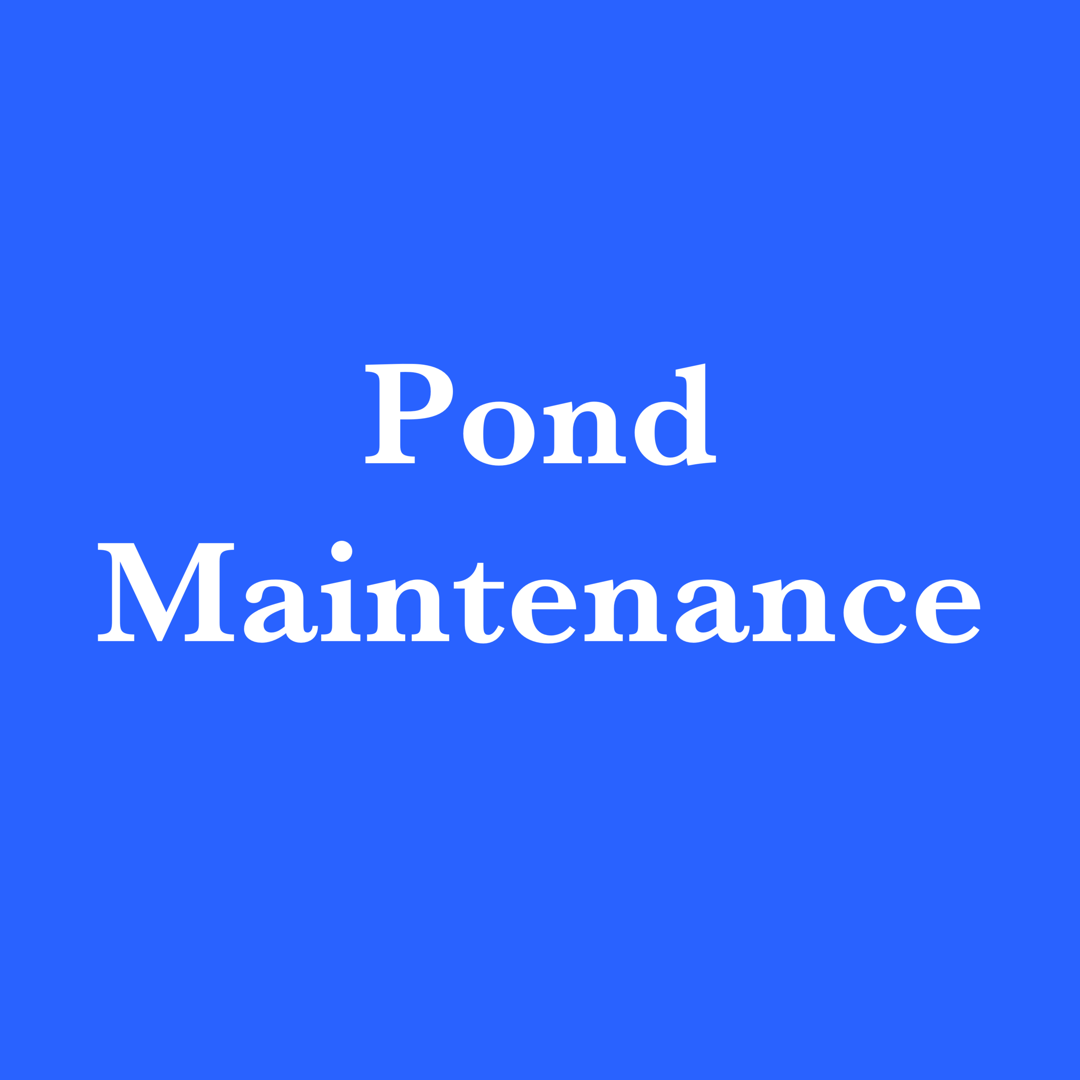 Pond Maintenance Bristol