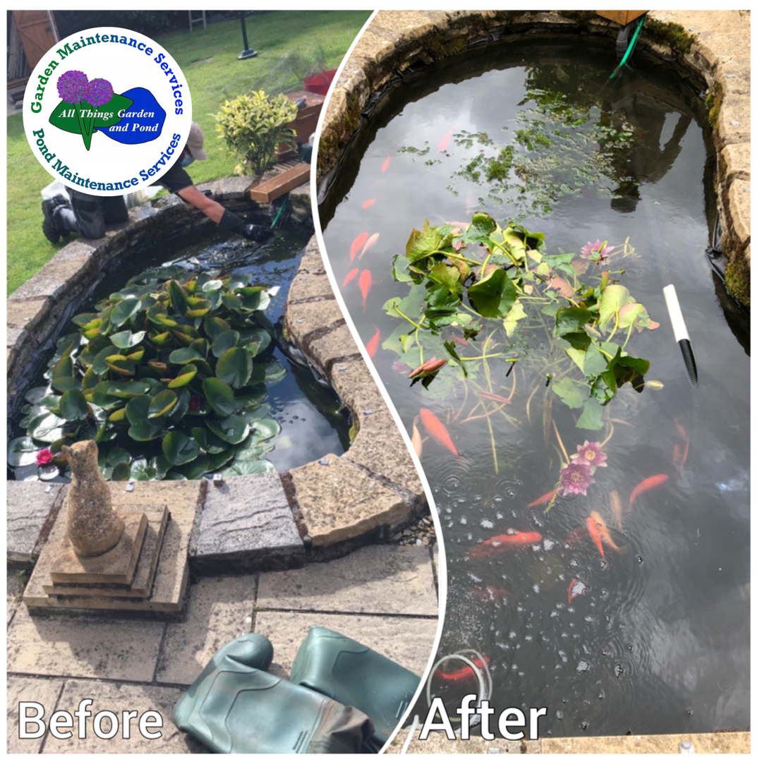 Pond Maintenance