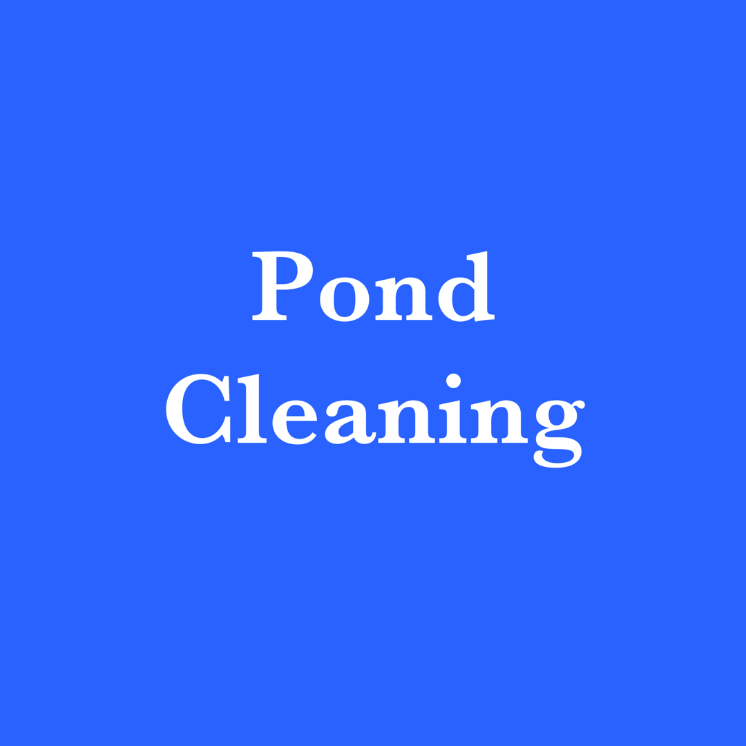 Pond Cleaning