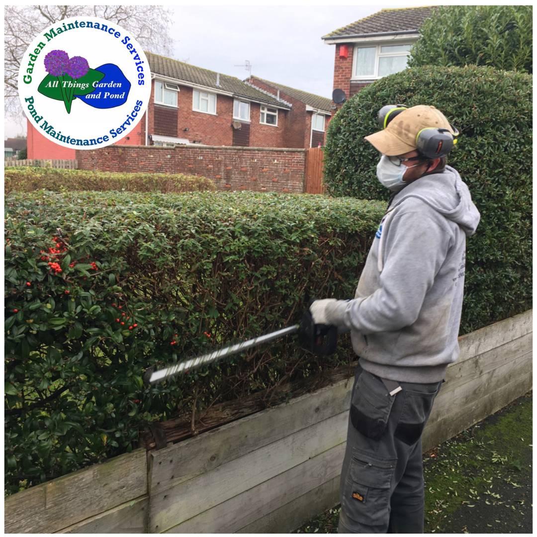Hedge Trimming Bristol