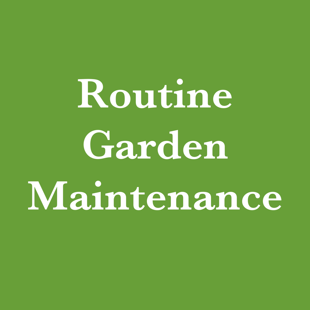 Routine Garden Maintenance