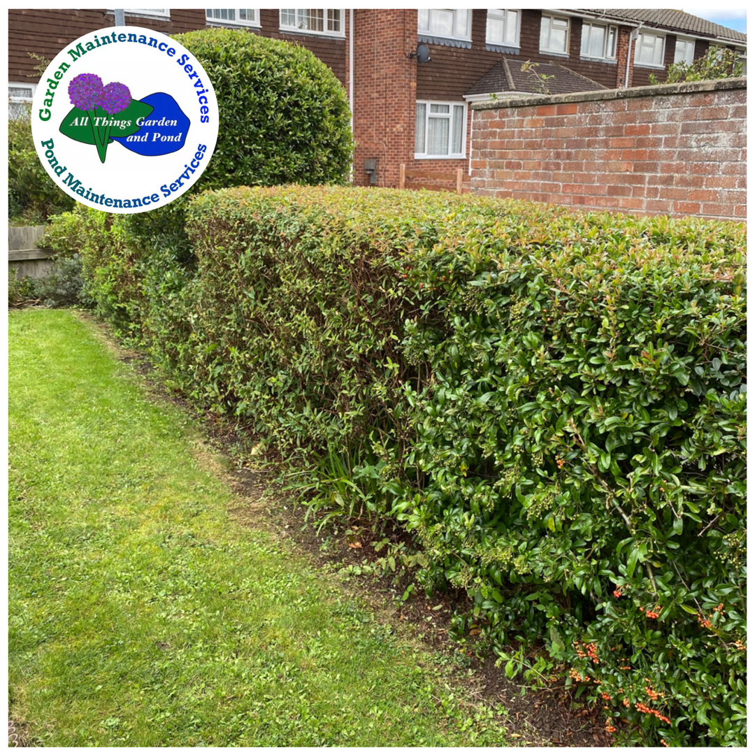 Hedge Cutting Bristol