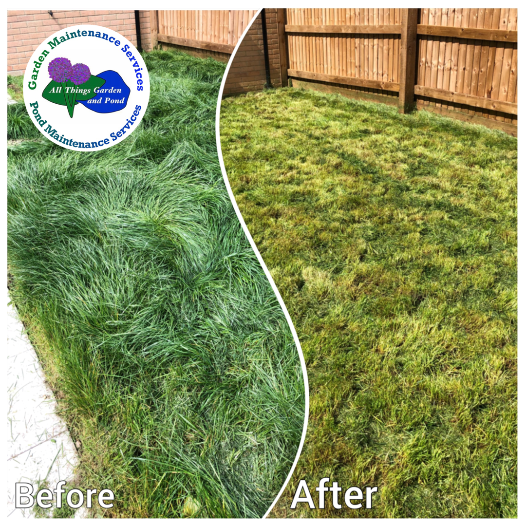 Lawn Care Bristol