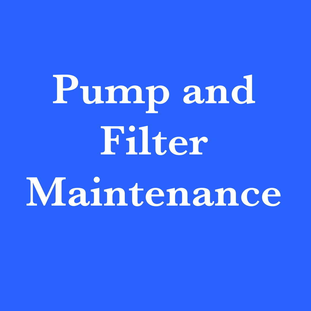 Pump and Filter Maintenance