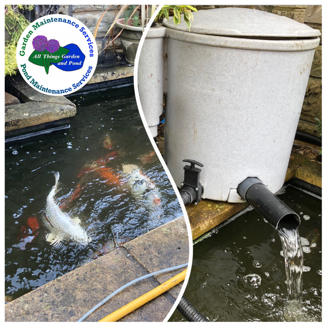 Filter Cleaning