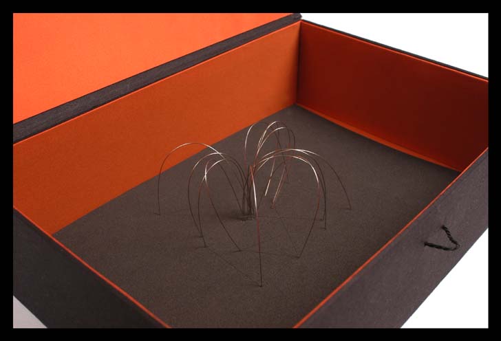 Blanca_Muñoz_Alrededores del sol Premio Fundación Amigos del Museo del Prado 2003