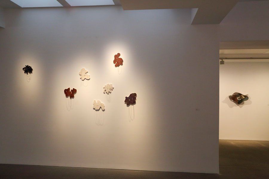 Blanca_Muñoz_Áurea I, II, III y IV y Albina I, II, III