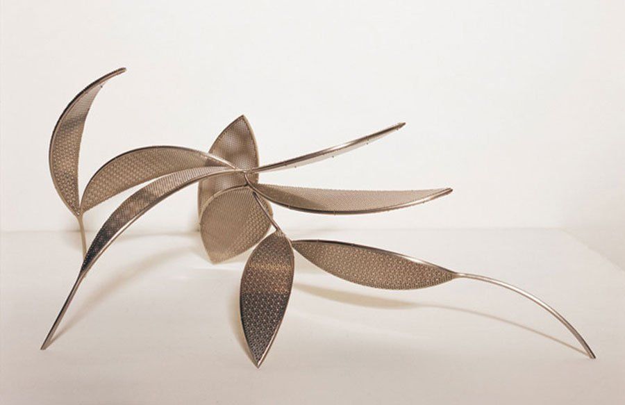 Blanca_Muñoz_Entornada