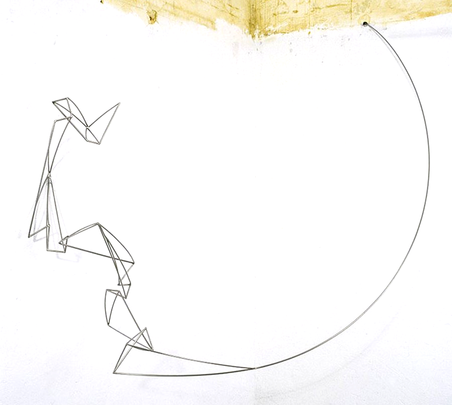 Blanca_Muñoz_Movimiento browniano