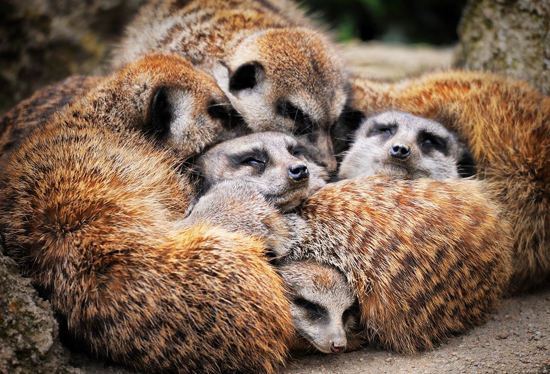 Gruppentermine Spürbewusstsein Gruppentermine Spürbewusstsein