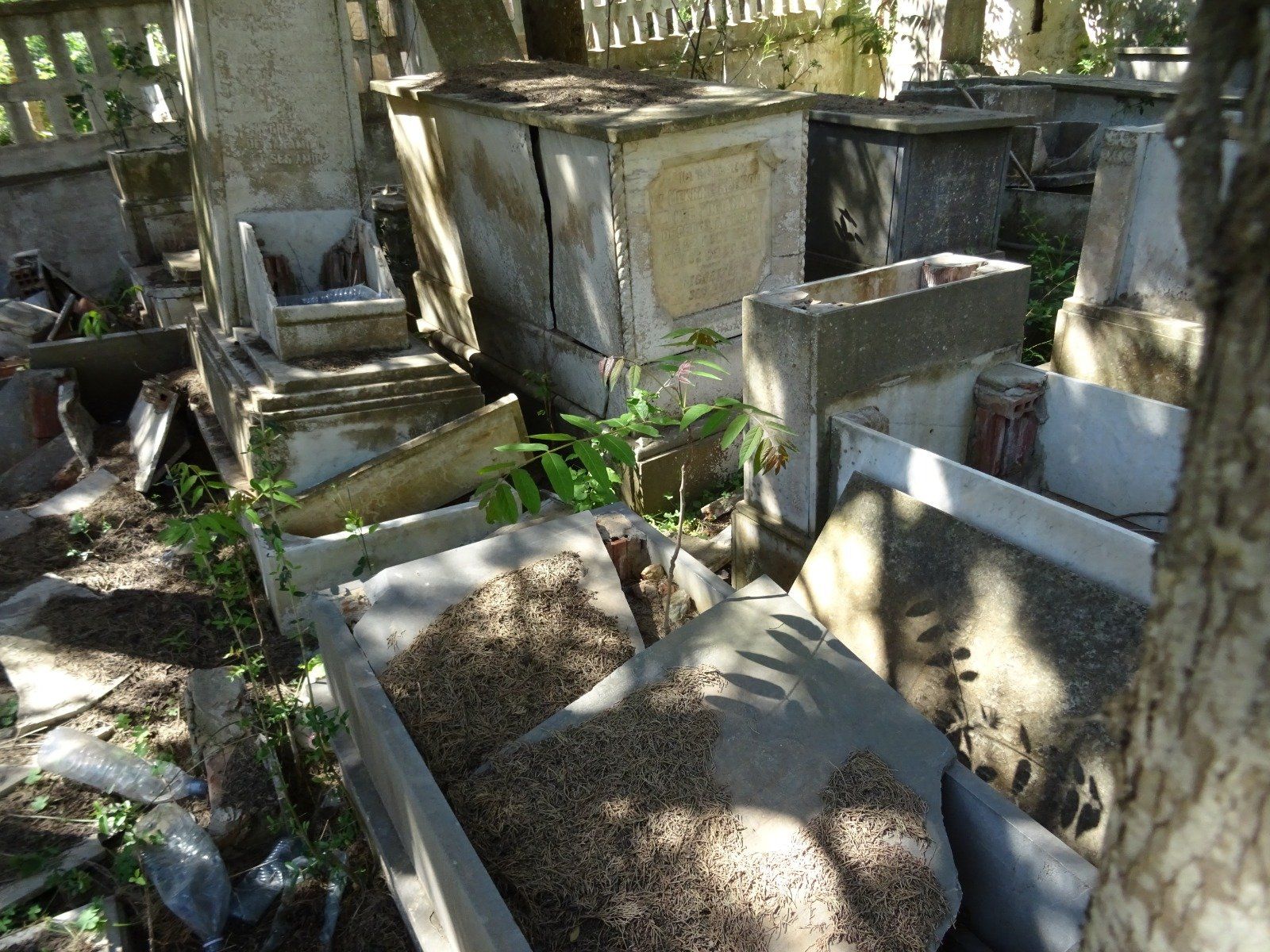 Cimetière israélite - mai 2018