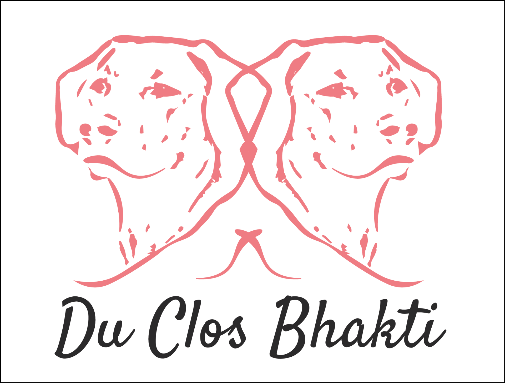 Elevage du Clos Bhakti : Rhodesian Ridgeback en Périgord