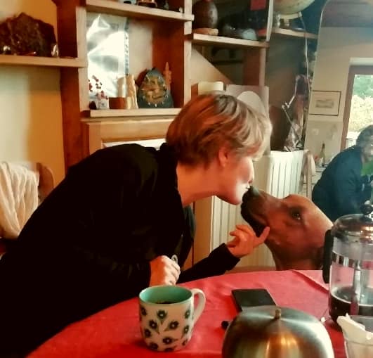 Elevage du Clos Bhakti : Rhodesian Ridgeback en Périgord