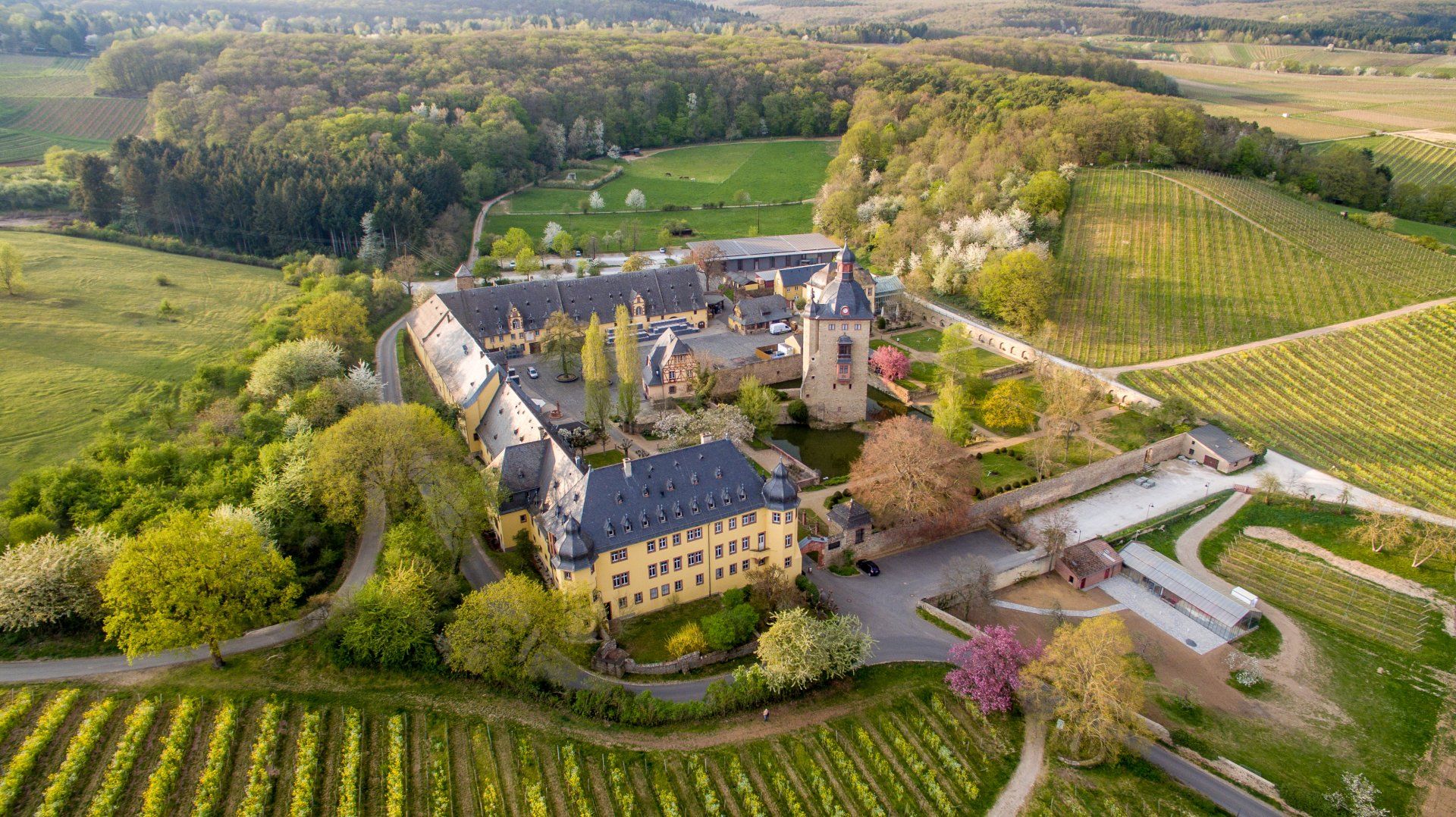 SchlöossVorrads im Rheingau - Luftaufnahme