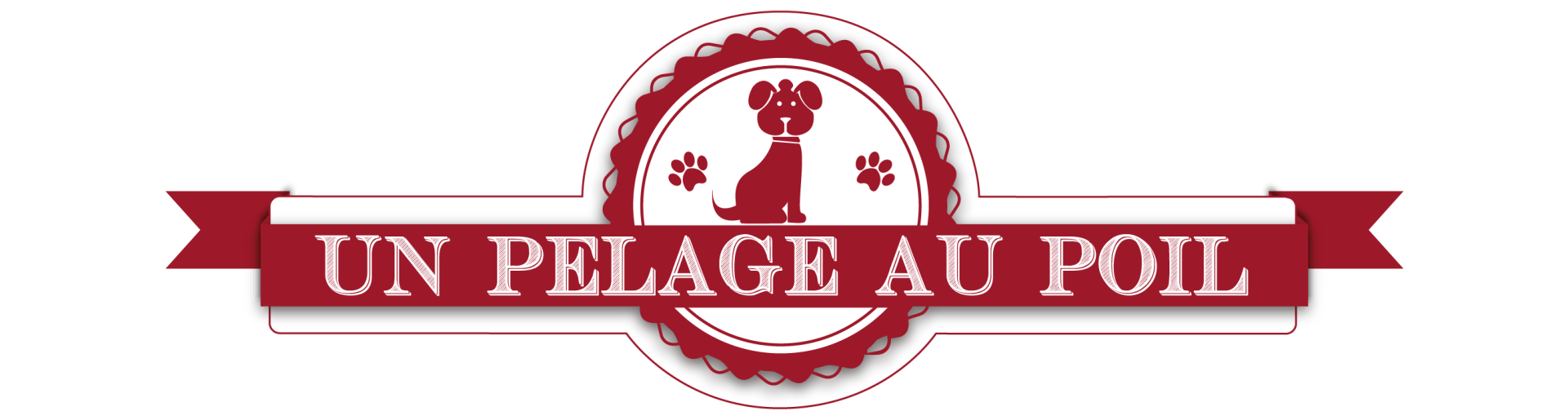 ? 05 17 26 14 12 | ? 06 95 91 13 84 toilettage La Rochelle