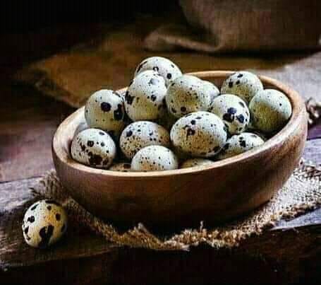 Photo By: Wachteln Seramas