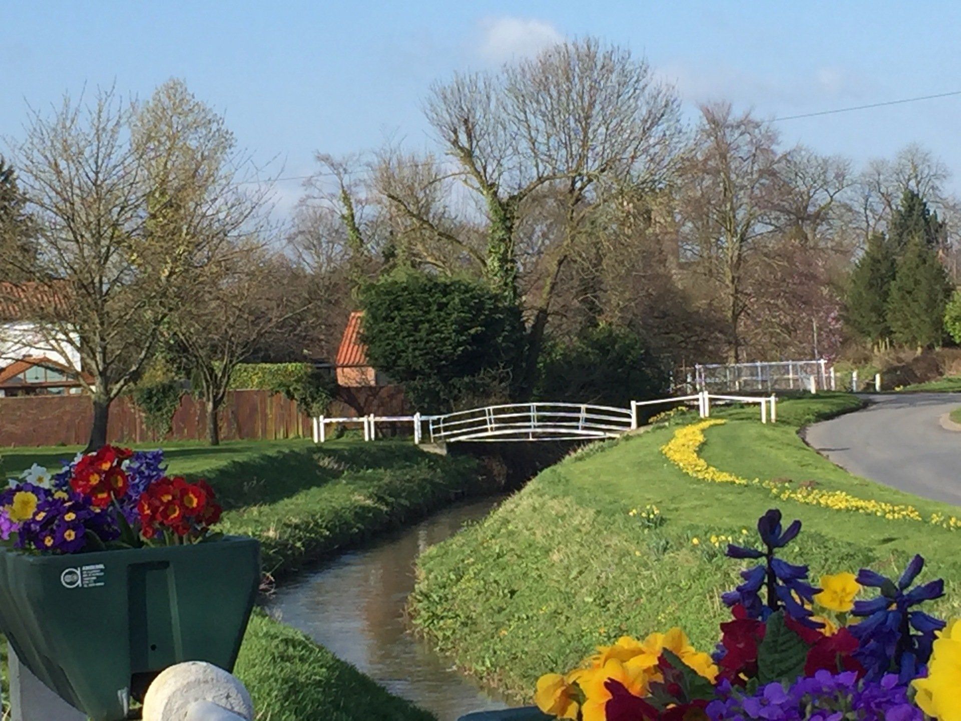 Photo of a sunny beck with flowers and white bridge
