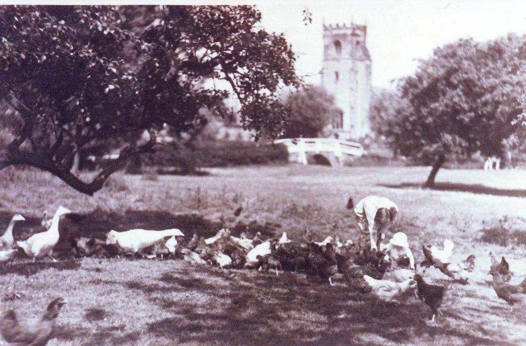 Old black and white photo of a field and Wilberfoss church in the background