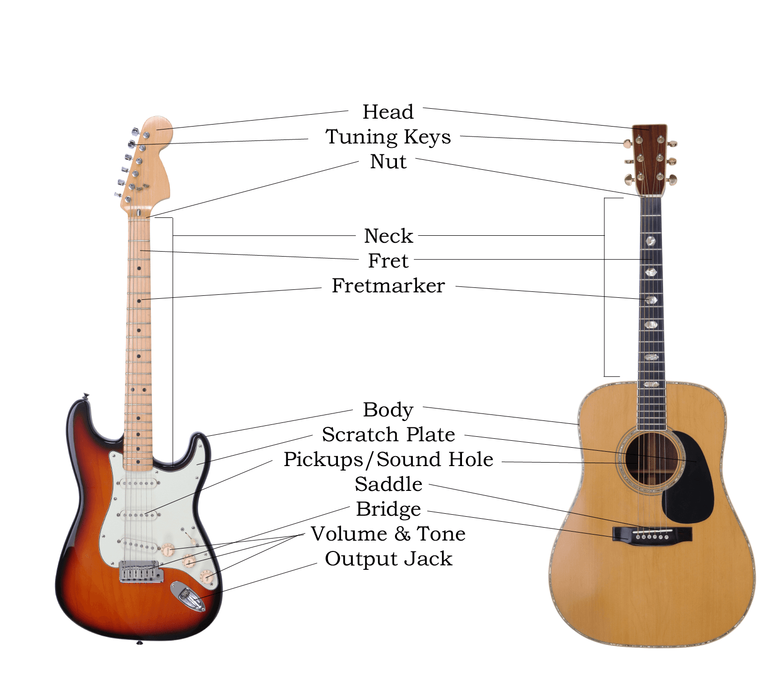 Parts of the guitar