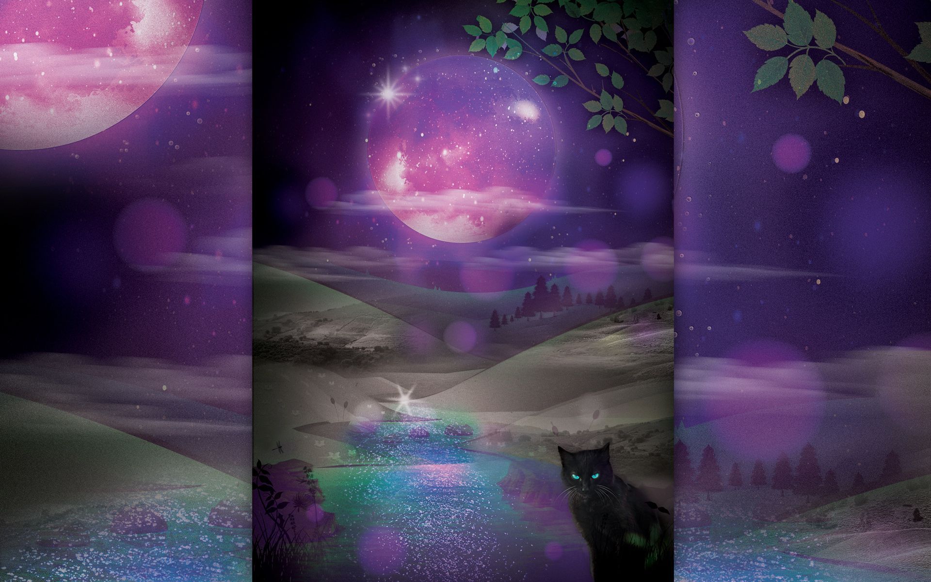 Rҽժs☼︎Rօҍíղ .com