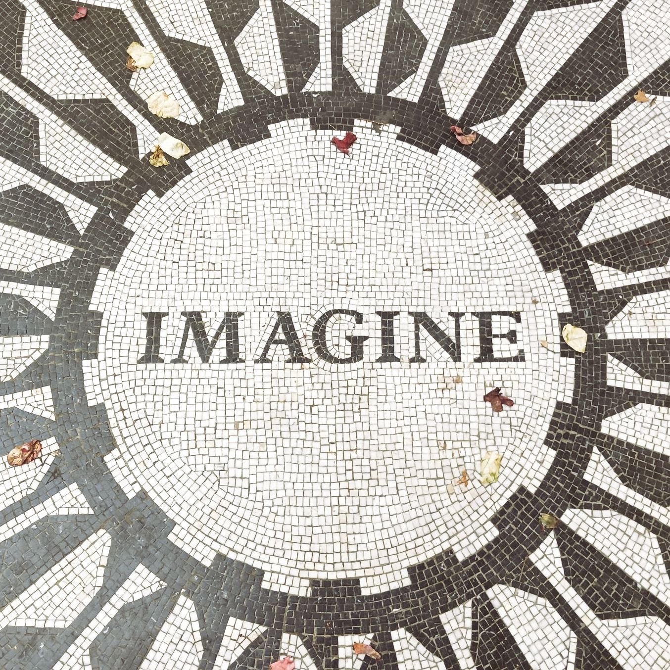 Central Park Strawberry Fields Central Park Strwberry Fields