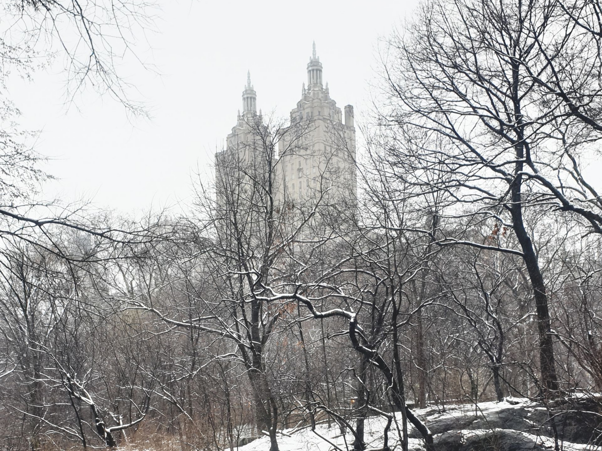 New York Central Park Tour auf Deutsch New Yorl Stadtführungen: Ein Spaziergang durch den Central Park auf Deutsch